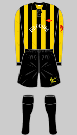 burton albion 1994-95