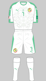 senegal 2018 1st kit