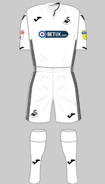 swansea city afc 2018-19